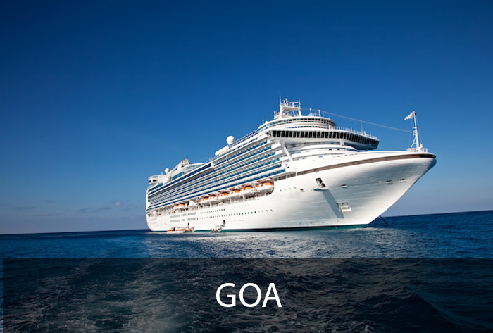 cruise wedding in india cost